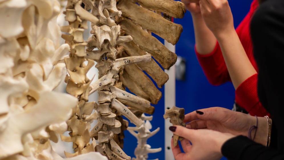 Students handling some of the University's archaeological collections